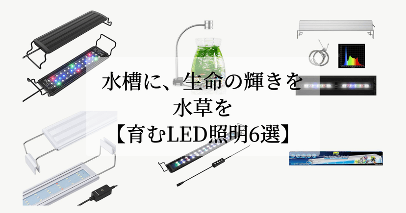 水槽に、生命の輝きを。【水草を育むLED照明6選】