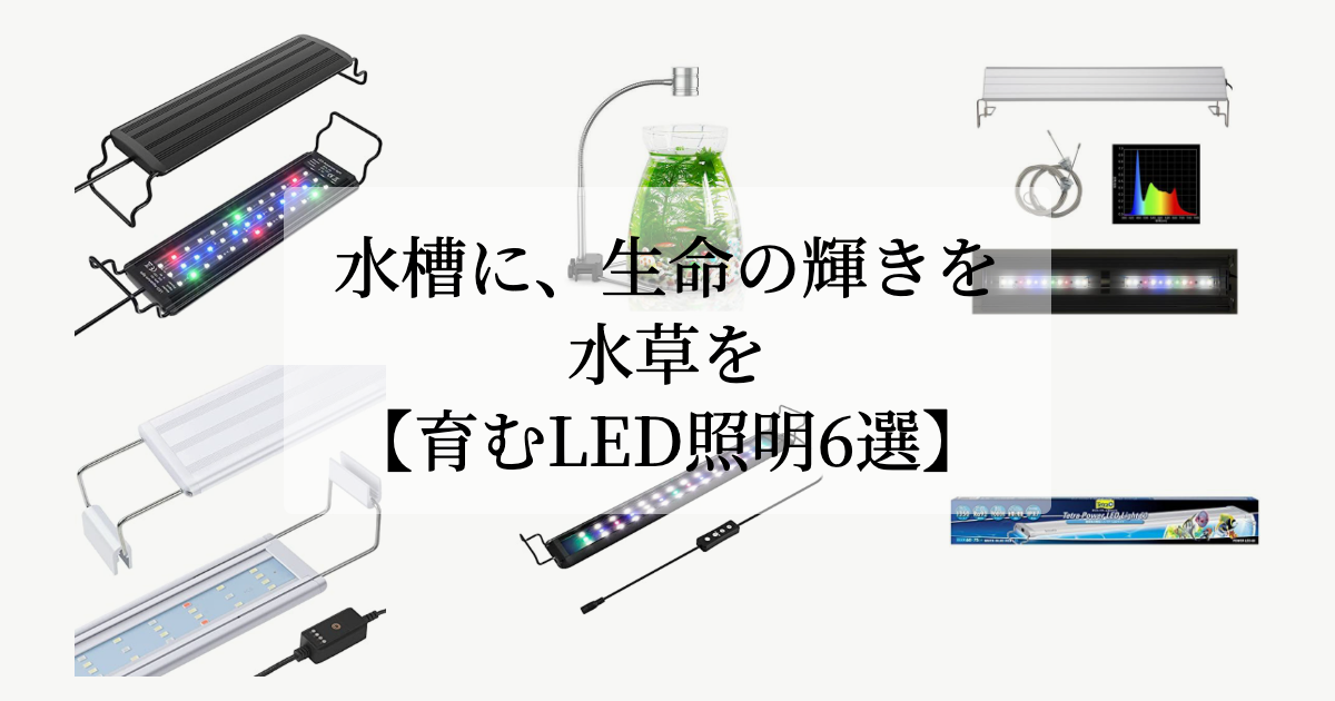 水槽に、<br>生命の輝きを。【水草を育むLED照明6選】